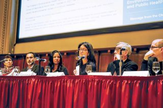 ‘The Decade of the Developing Brain’ Panel Focuses on Environment and Lifelong Health